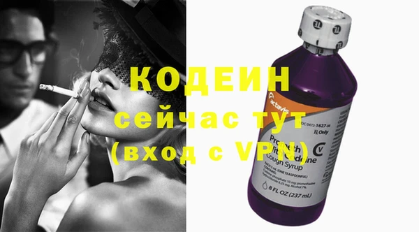 прущие грибы Апатиты