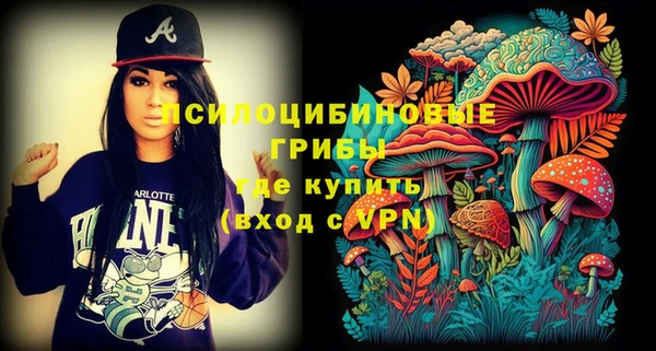 PSILOCYBIN Горняк