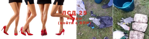 прущие грибы Горнозаводск