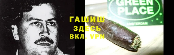 гидра Михайловка