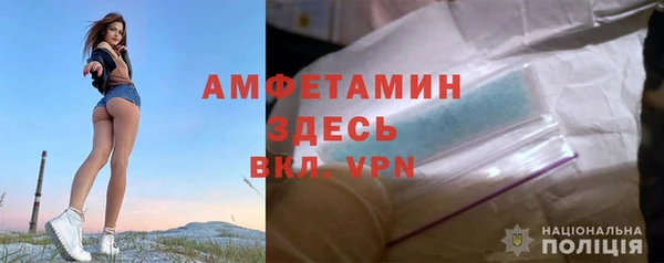 гидра Михайловка