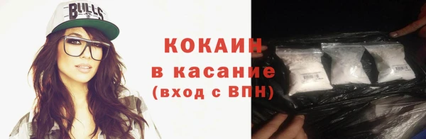 гидра Михайловка
