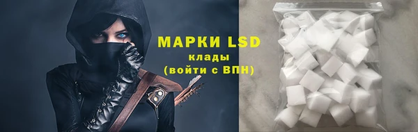 СК Михайловск