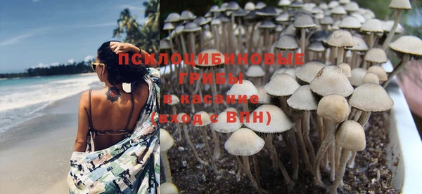 метадон Медвежьегорск
