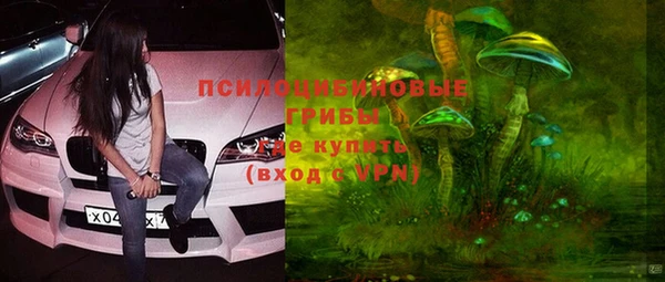 прущая мука Михайлов