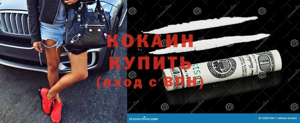 гидра Михайловка