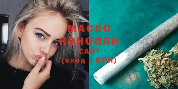 гидра Михайловка