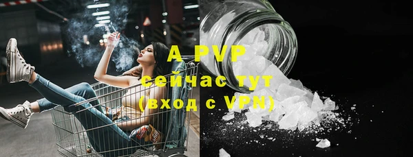 гидра Михайловка