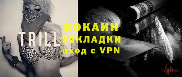 гидра Михайловка