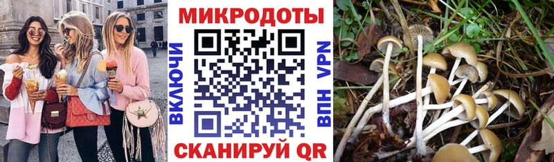 что такое наркотик  Томари  Галлюциногенные грибы мицелий 