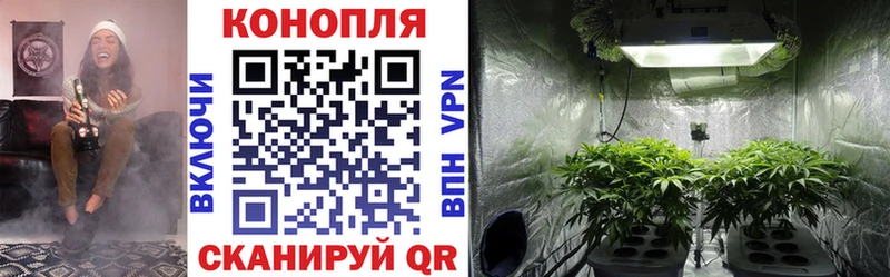 где найти наркотики  Томари  Марихуана индика 